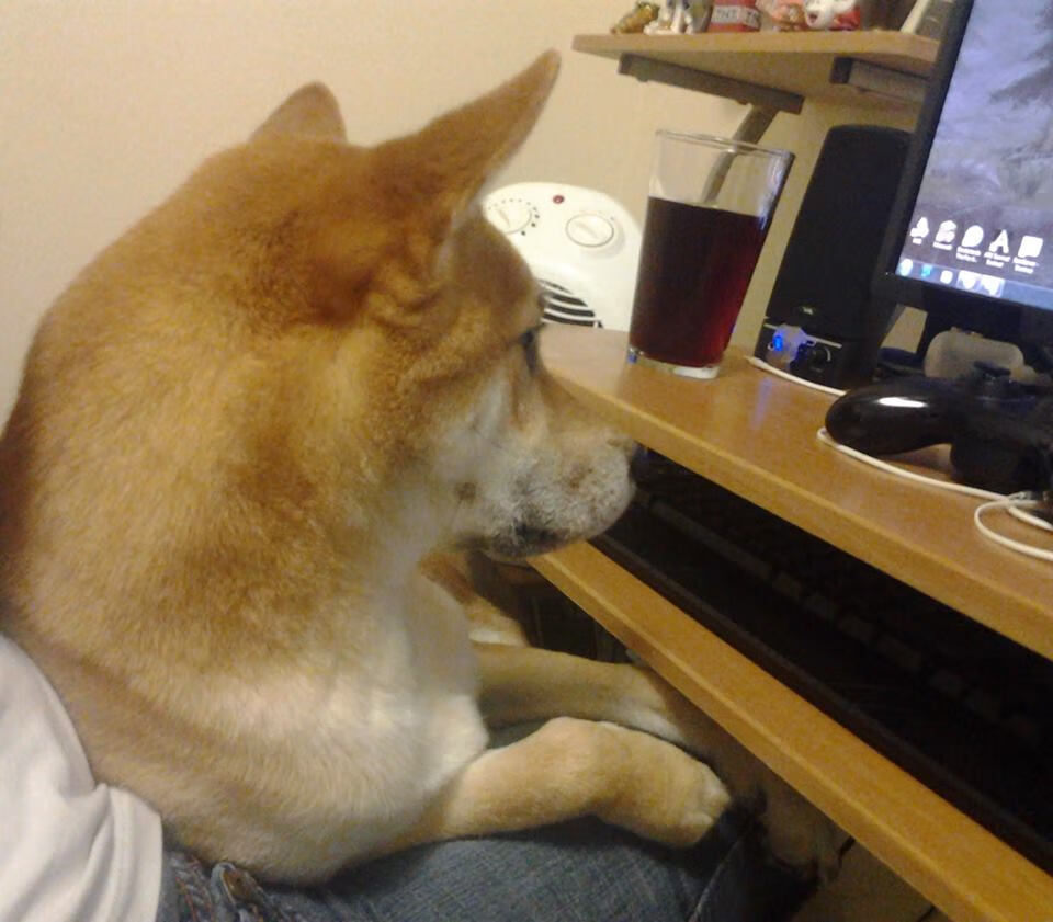 德甲青训营吸引大量年轻才俊加盟，德甲青训体系