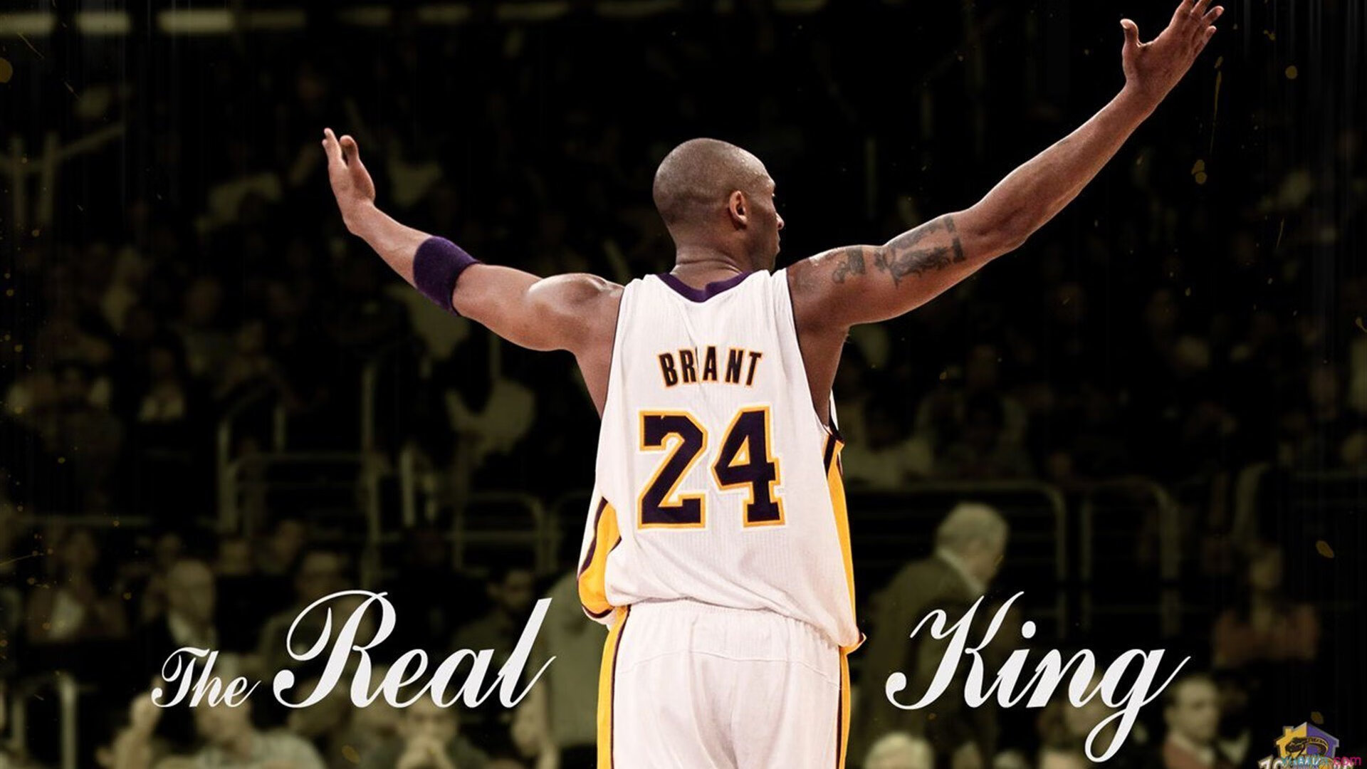 雷霆新赛季主题活动启动强调青年力量崛起，雷霆本赛季