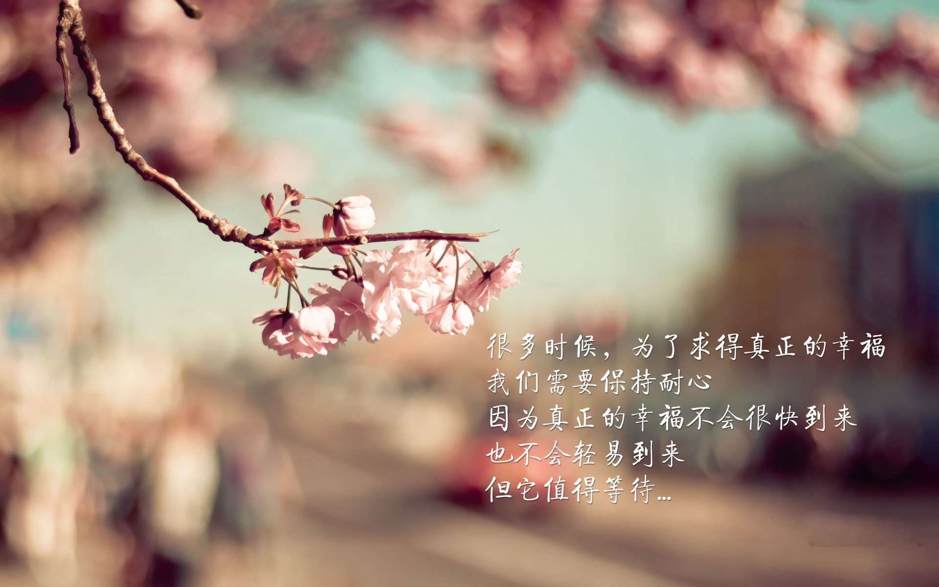 《国际合作：多国电竞联盟携手共赢》，国际电竞项目有哪些