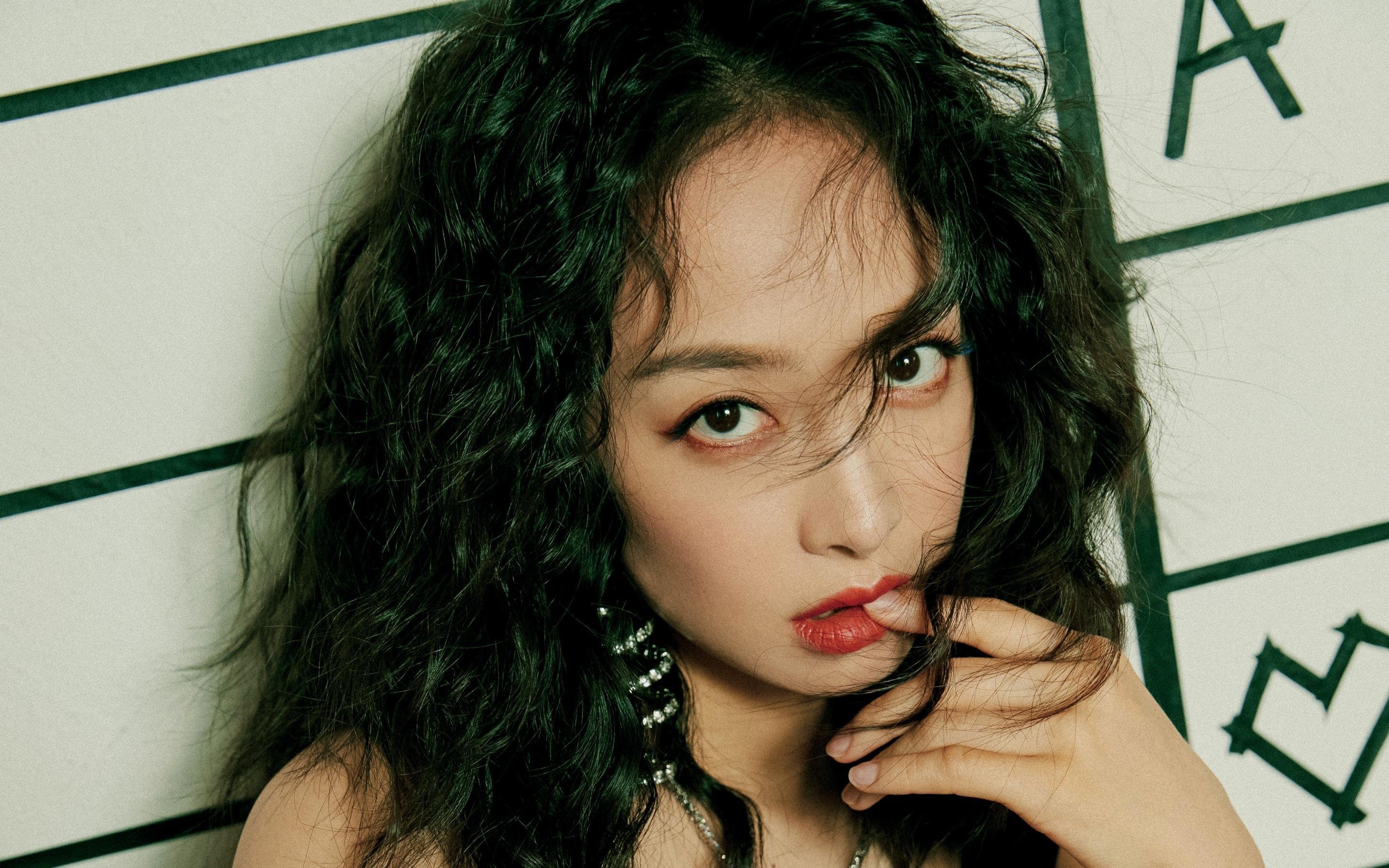 北极探险赛：极地挑战的无畏精神，北极探索