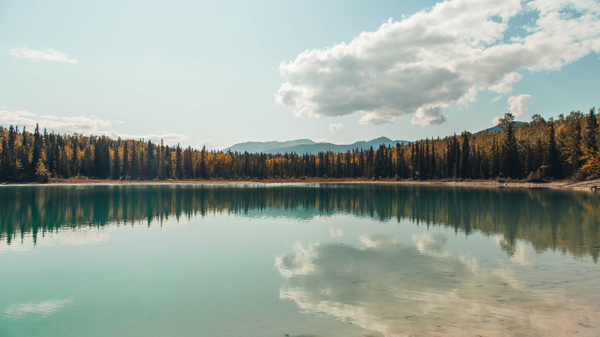 开云·Kaiyun网页版-塞内加尔马术队在非洲马术锦标会盛装舞步赛中获得第六名，成绩可圈可点。