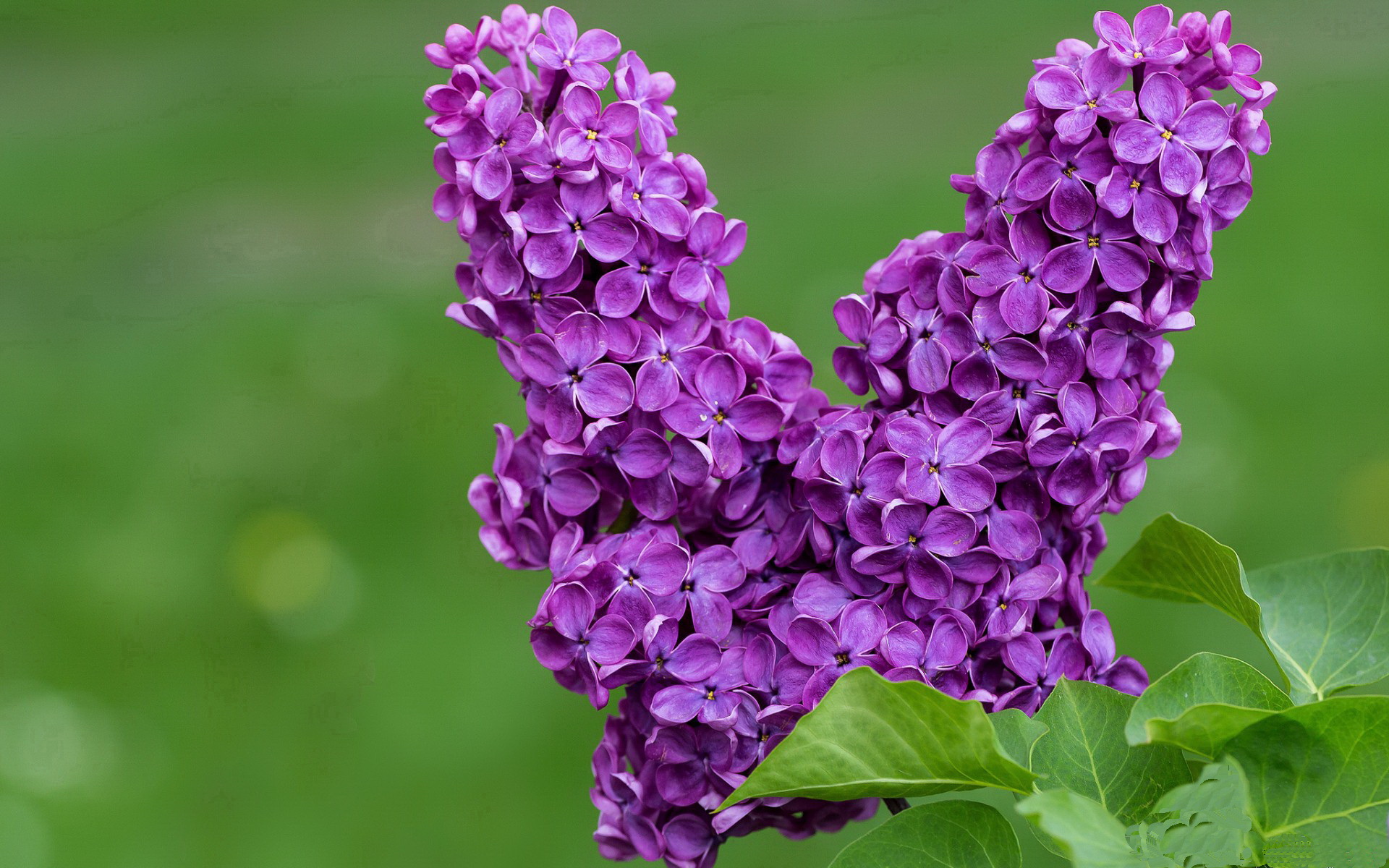 开云官方网站-媒体关注青训发展，呼吁加大投入，媒体关注青训发展,呼吁加大投入力度